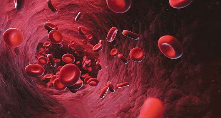 کم خونی و دیابت